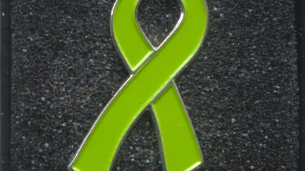Groene Lintje GroenLinks Oosterhout