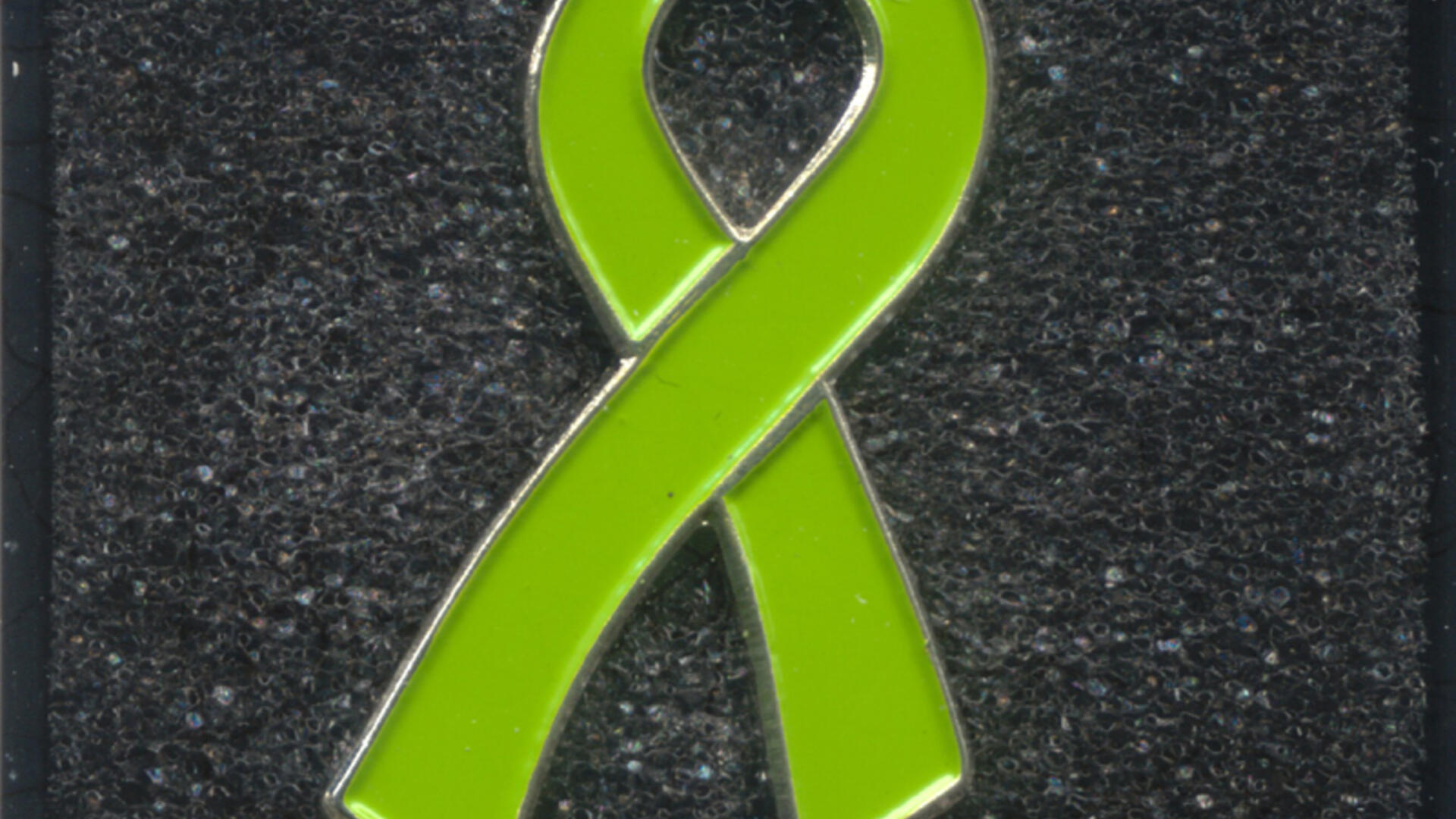 Groene Lintje GroenLinks Oosterhout